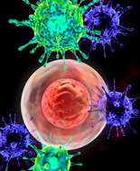 Un’infezione virale potrebbe fare da trigger per la malattia celiaca